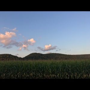 Meet your Posher, Sydney